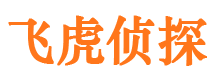 田家庵市私家侦探